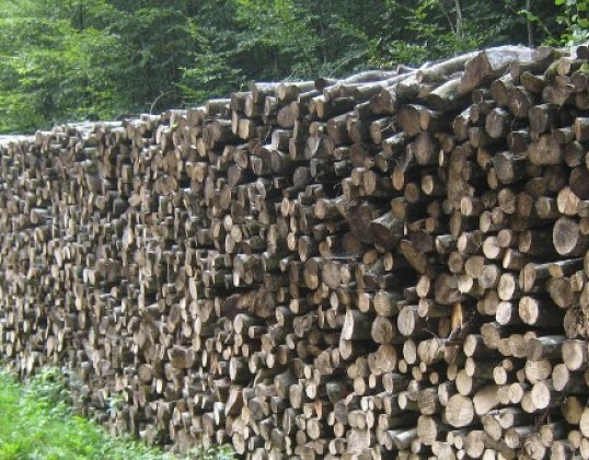 Long mur de bois en bord de forêt
